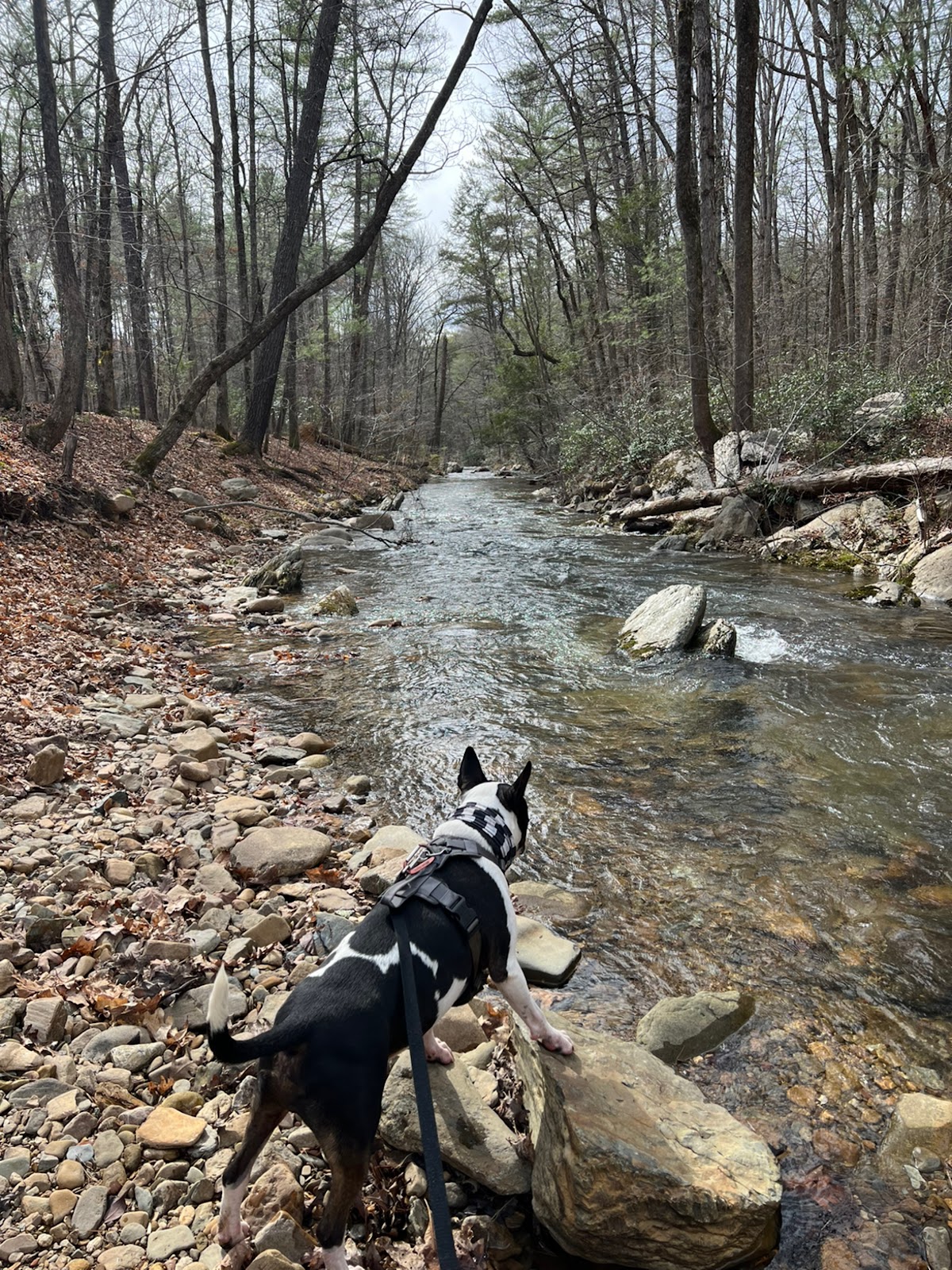Otter Creek Campground - Blue Ridge Parkway National Park