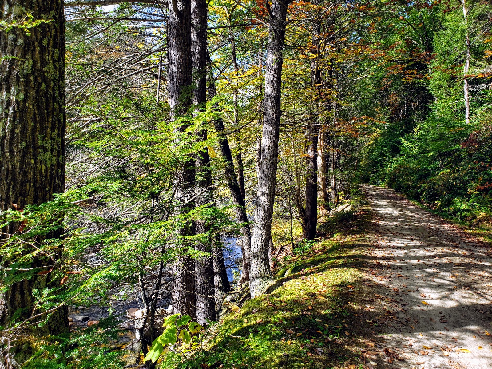 Mohawk Trail State Forest