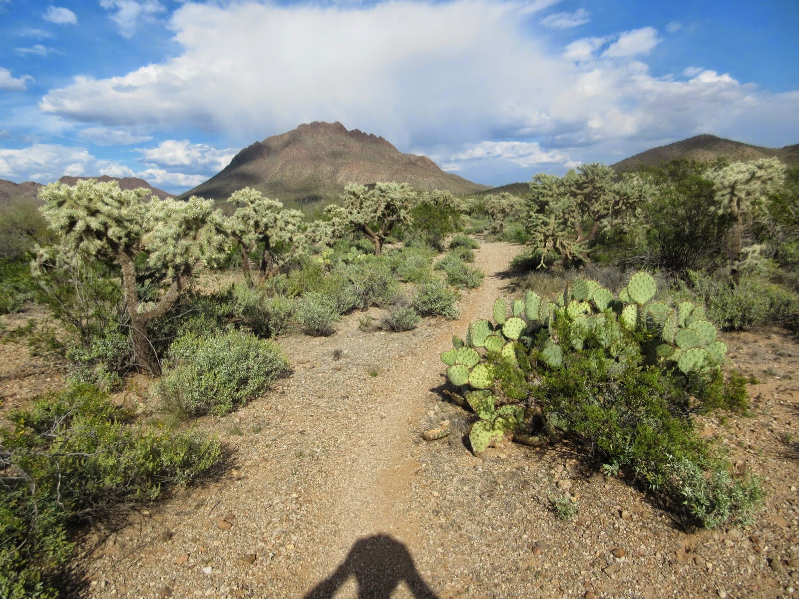 Justin's Diamond J RV Park