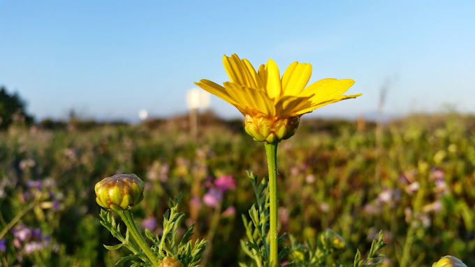 Bernardo Shores RV Park