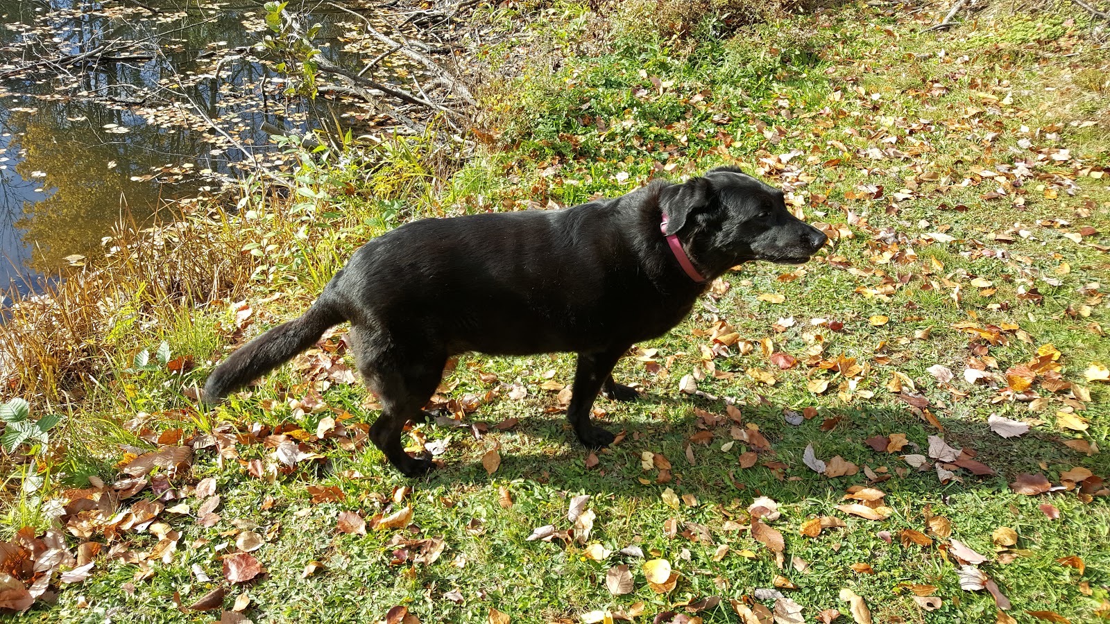 Shady Acres RV & Campground