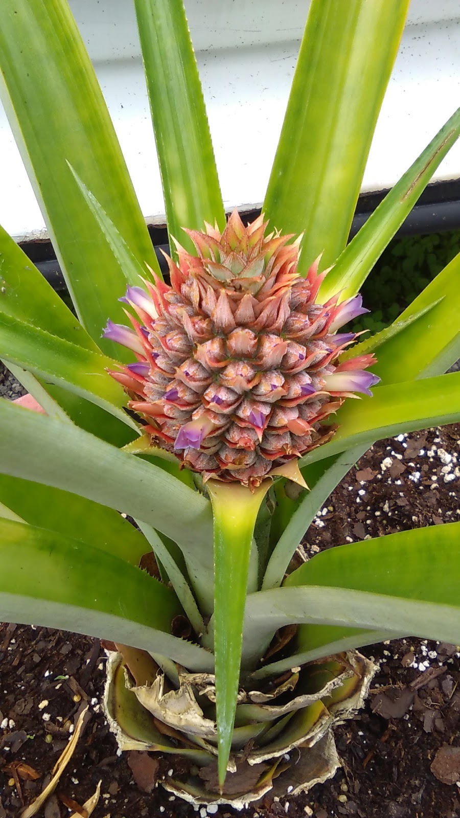 Crooked Hook RV Resort