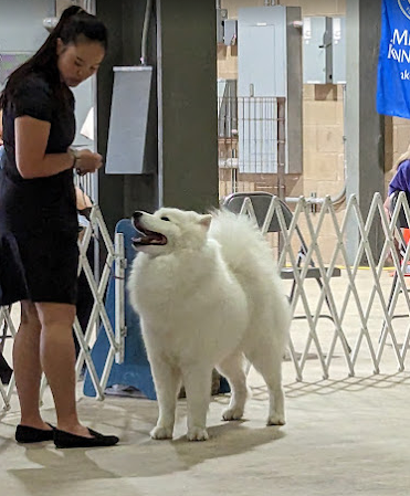 Hill Country Youth Exhibition Center