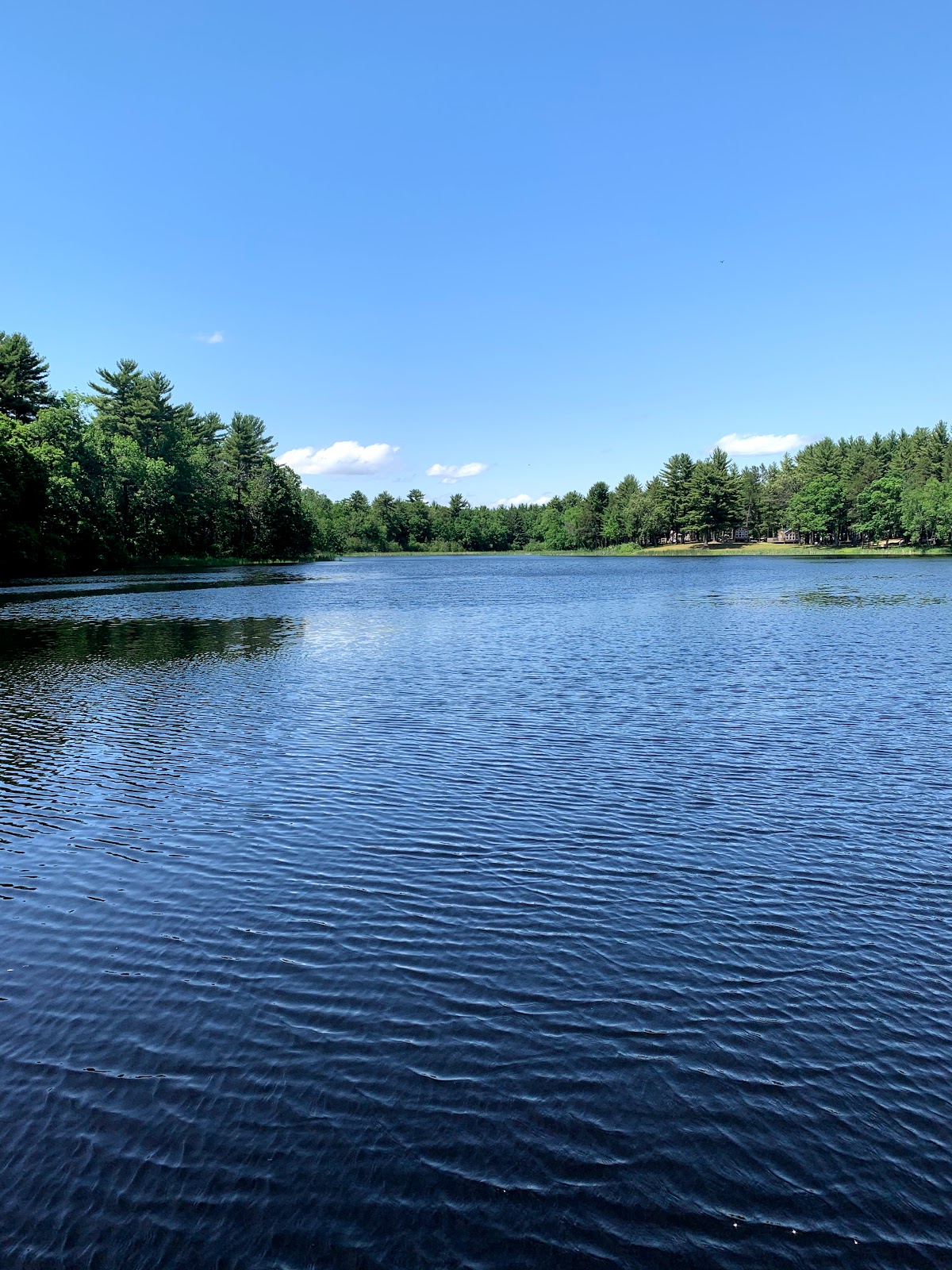 Lake of the Woods Campground