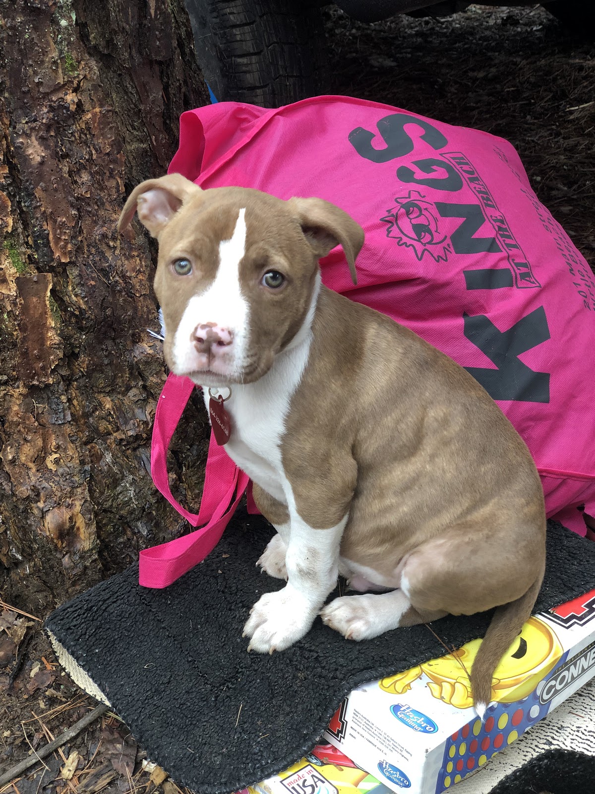 Long Bottom Ford Campground