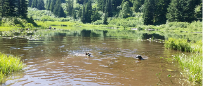 Camp Dakota Family Camping