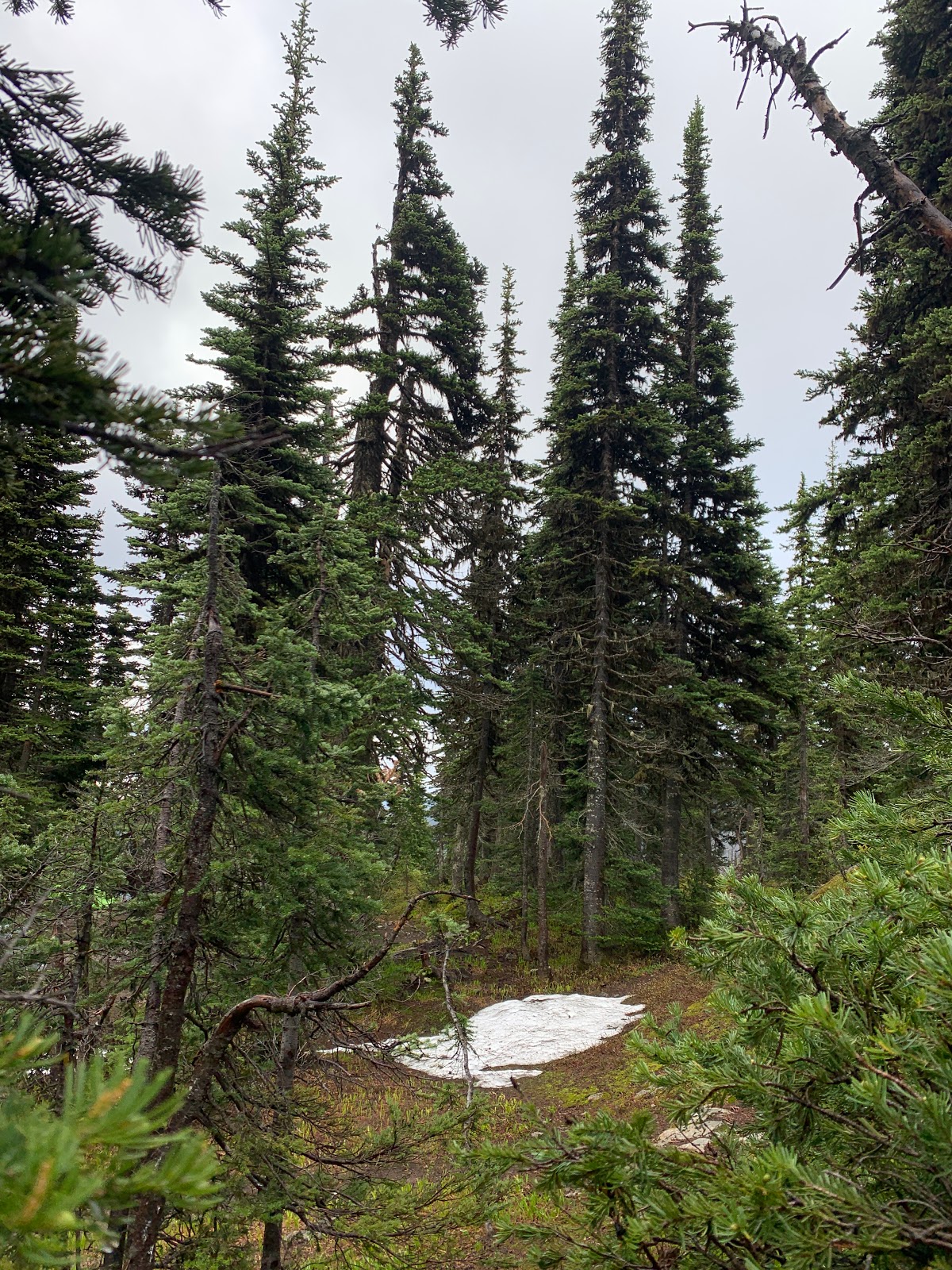 Harts Pass Campground