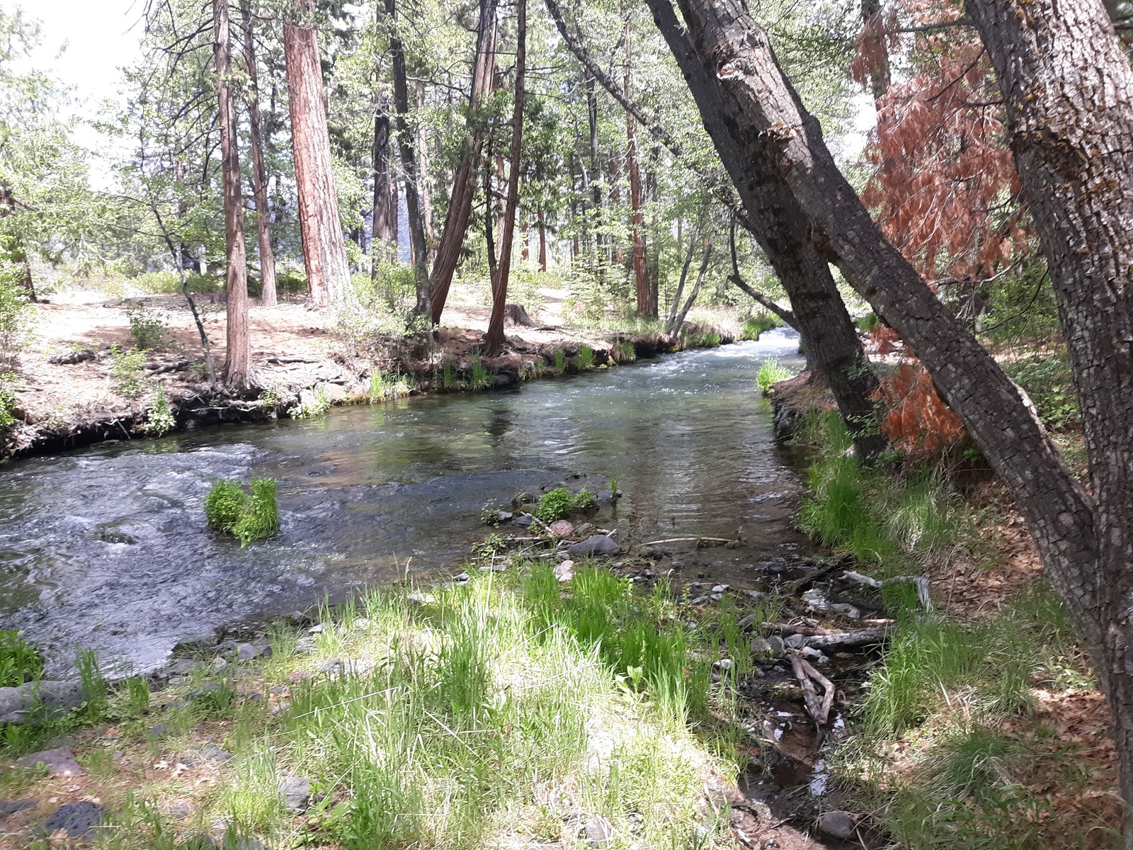 Twin Bridges Campground