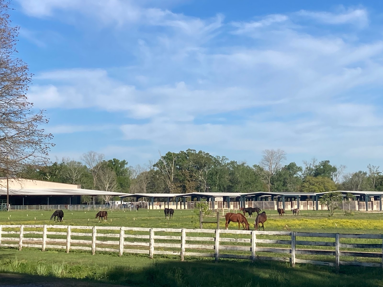 Farr Park RV Campground