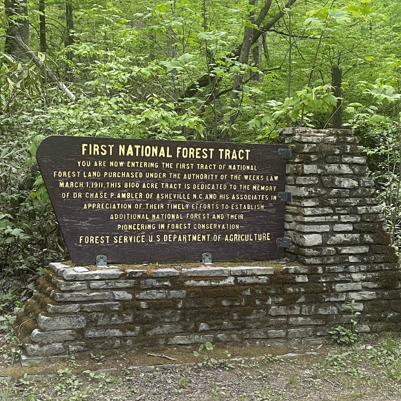 Curtis Creek NF Campground