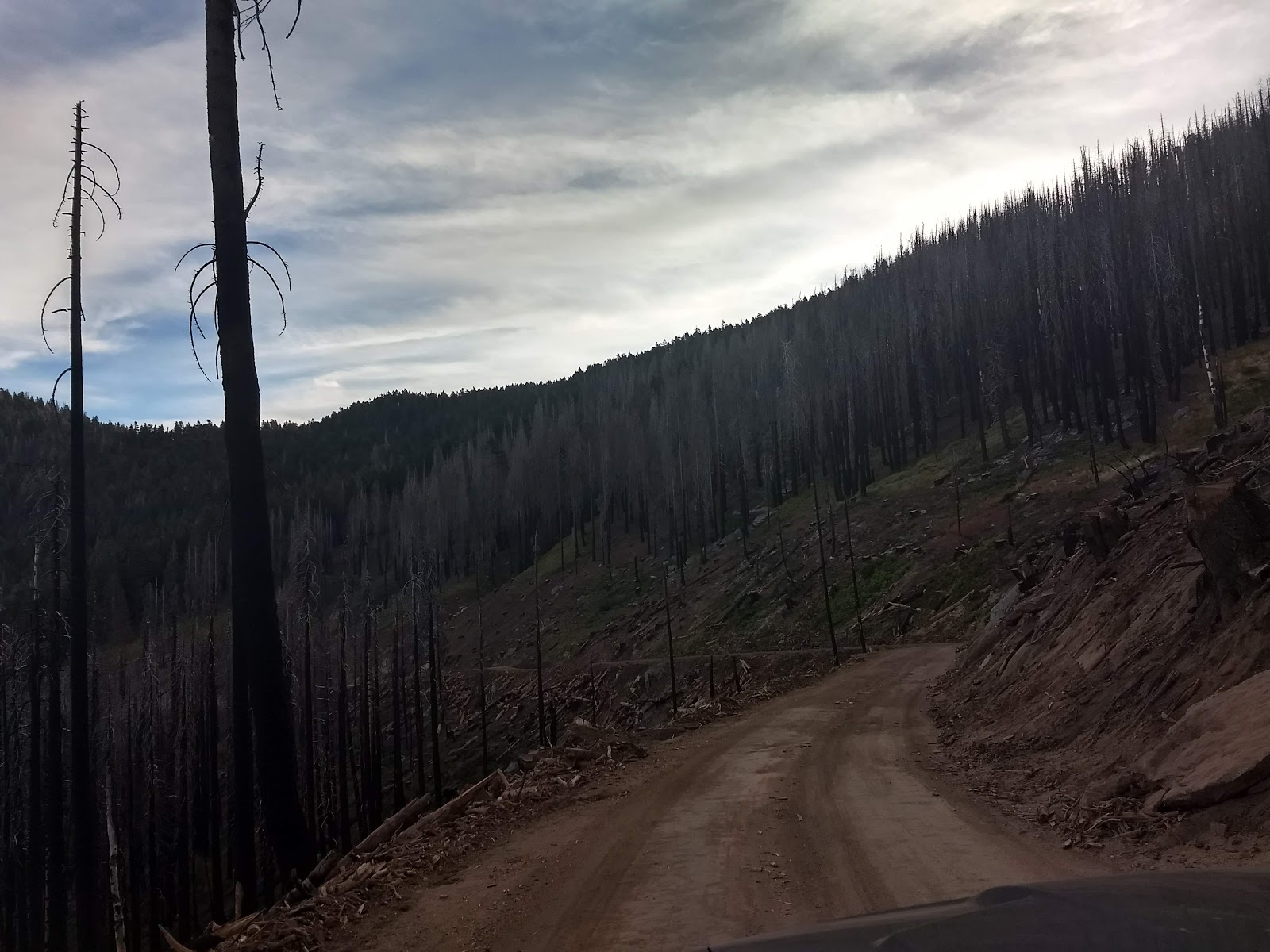 Frog Meadows Campground