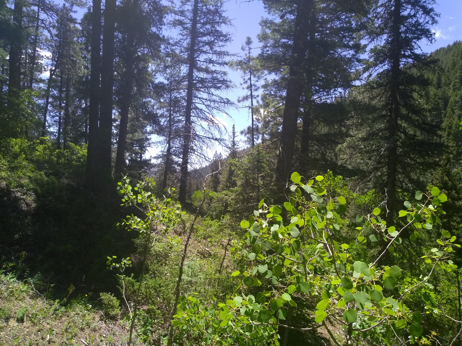 Holy Ghost Group Area Camping