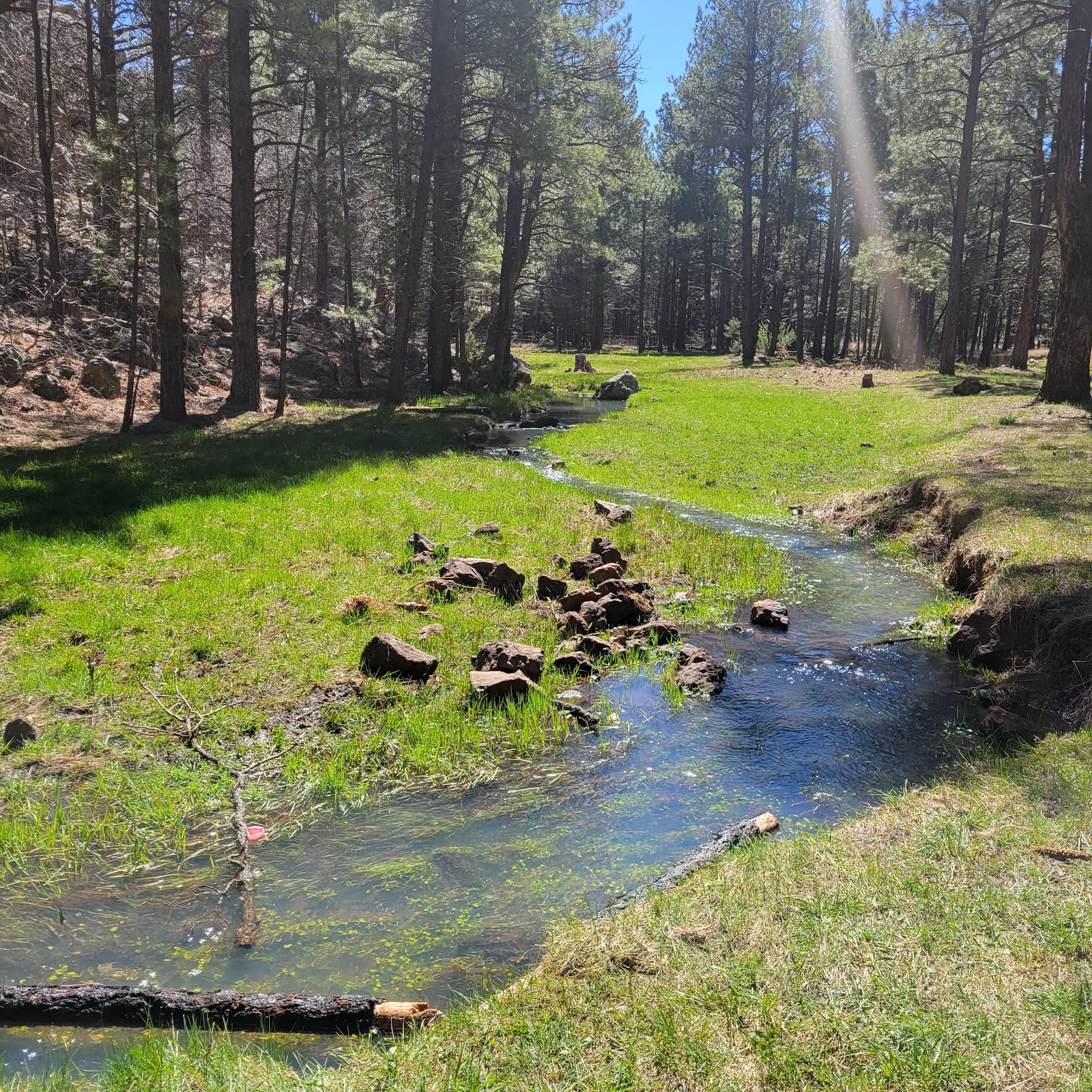 Brown Creek Campground
