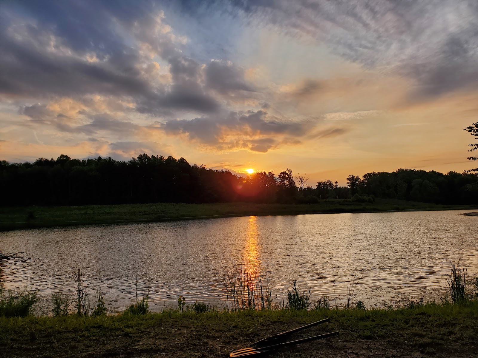 Greene Sullivan State Forest
