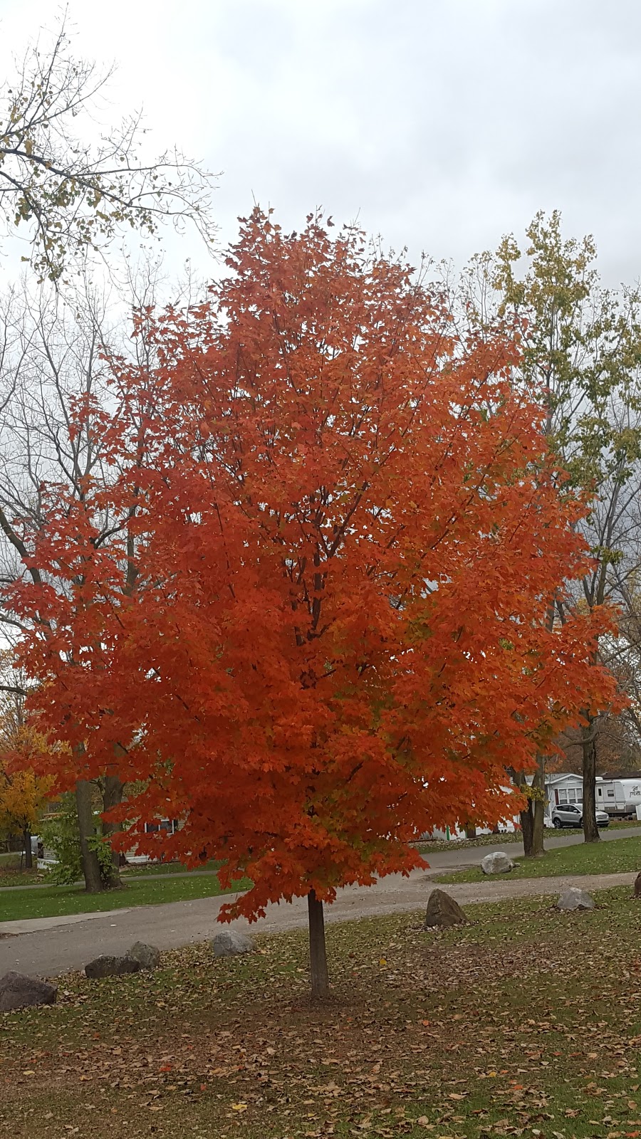 Holiday Shores RV Resort