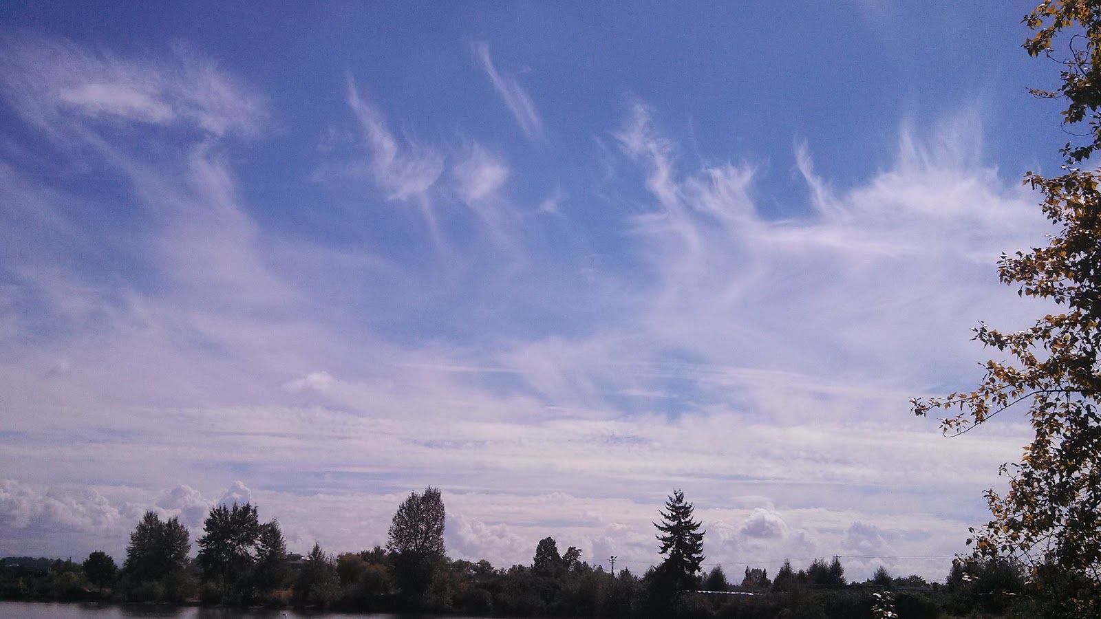 Center Street R.V Park