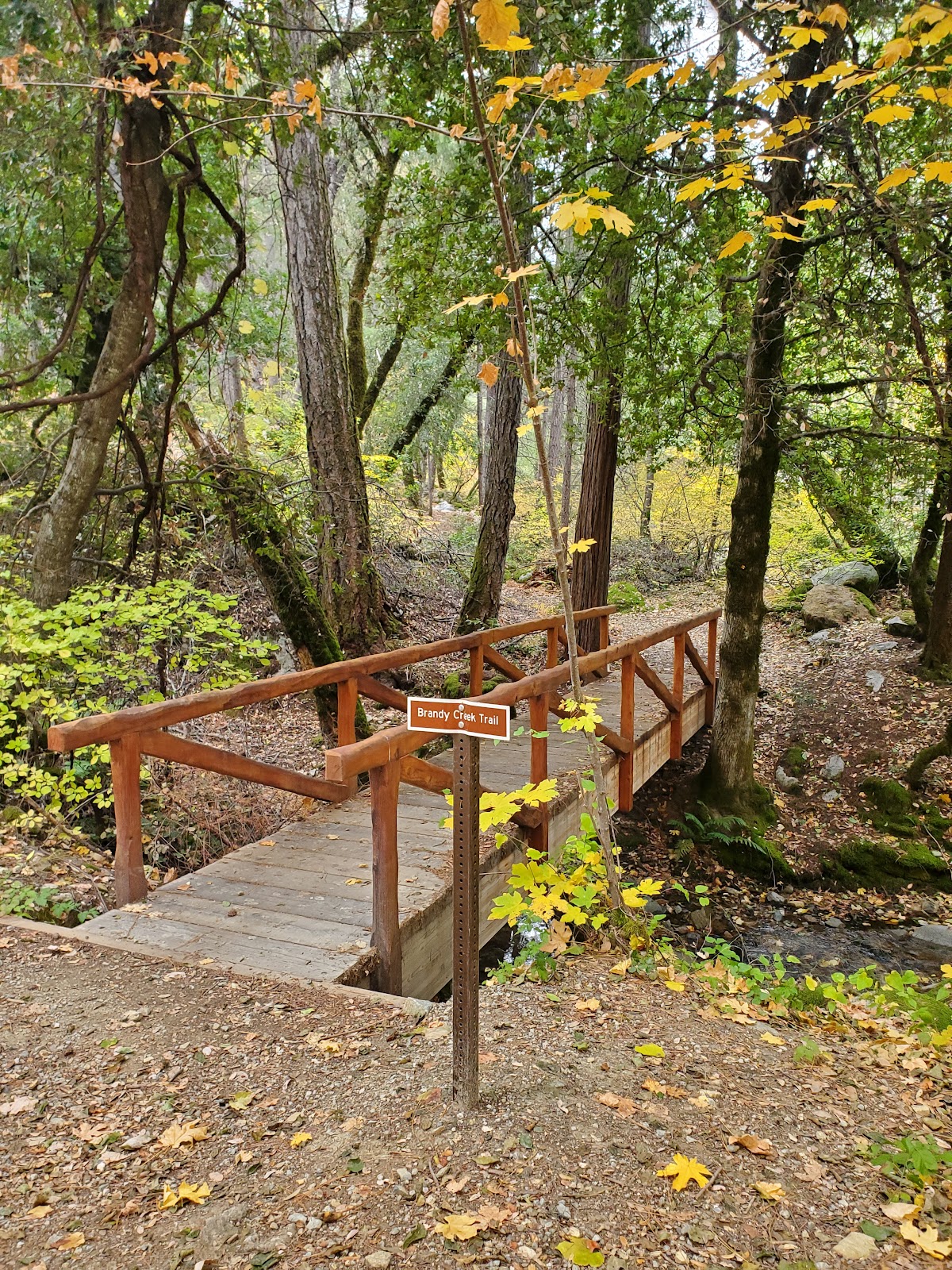 Sheep Camp Primitive Campground