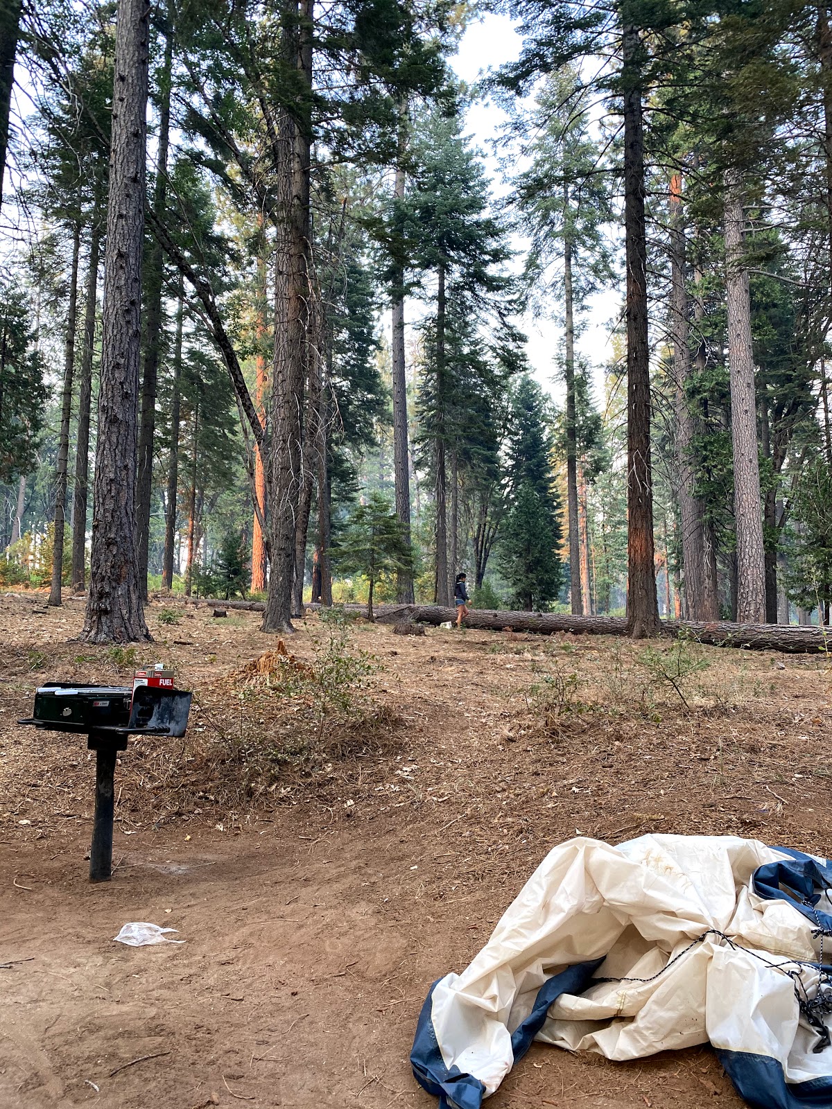 Stumpy Meadows Campground