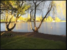 Tingley Lake Estates