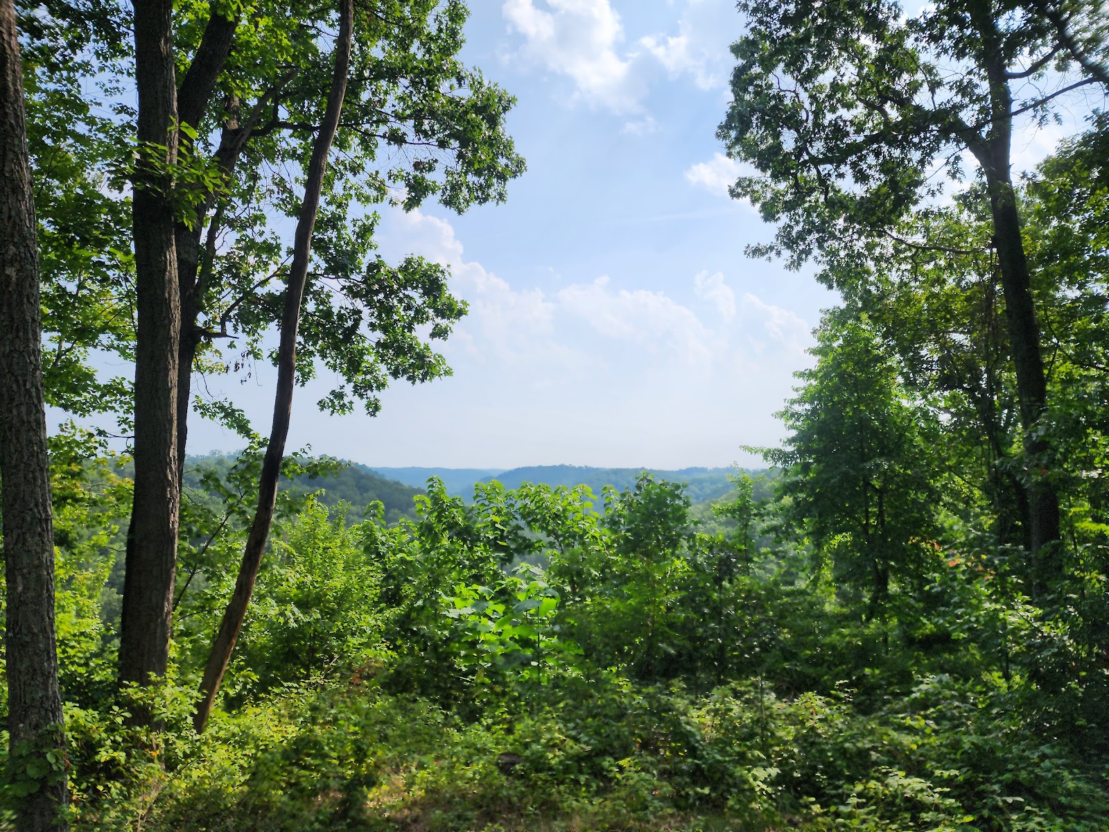 Main - Shawnee State Park