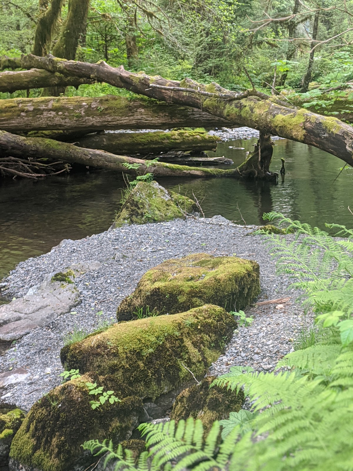 Campbell Tree Grove Campground