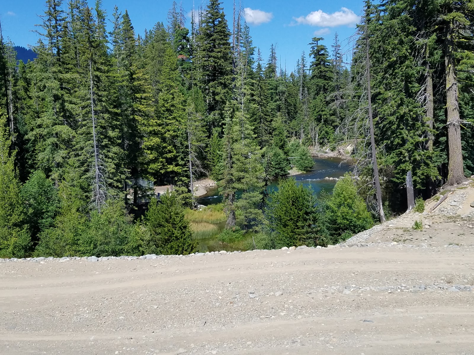 Pine Needle Group Campground