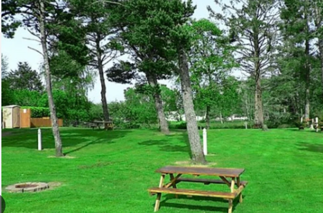 Evergreen Court & Trailer Park Camping