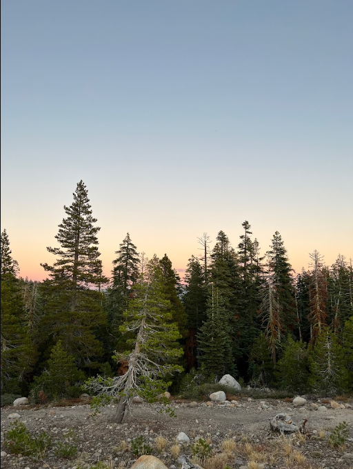 Silvertip Campground