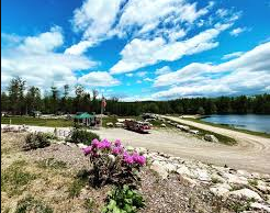 Nature's Wilderness Resort