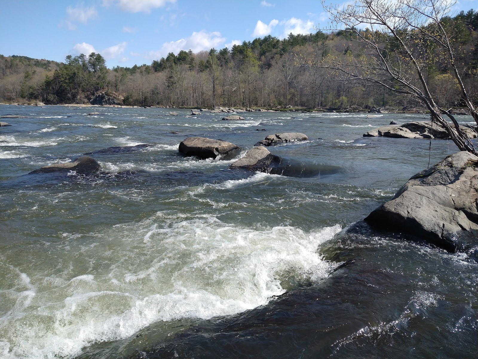 Double Shoals Campground