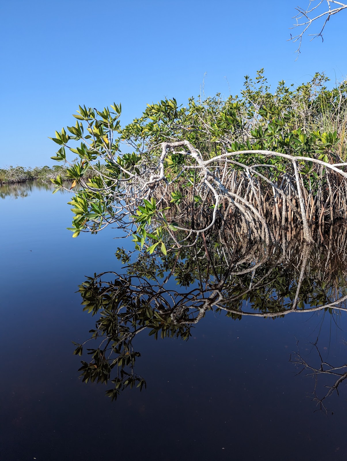 Backcountry Middle Cape - Everglades National Park