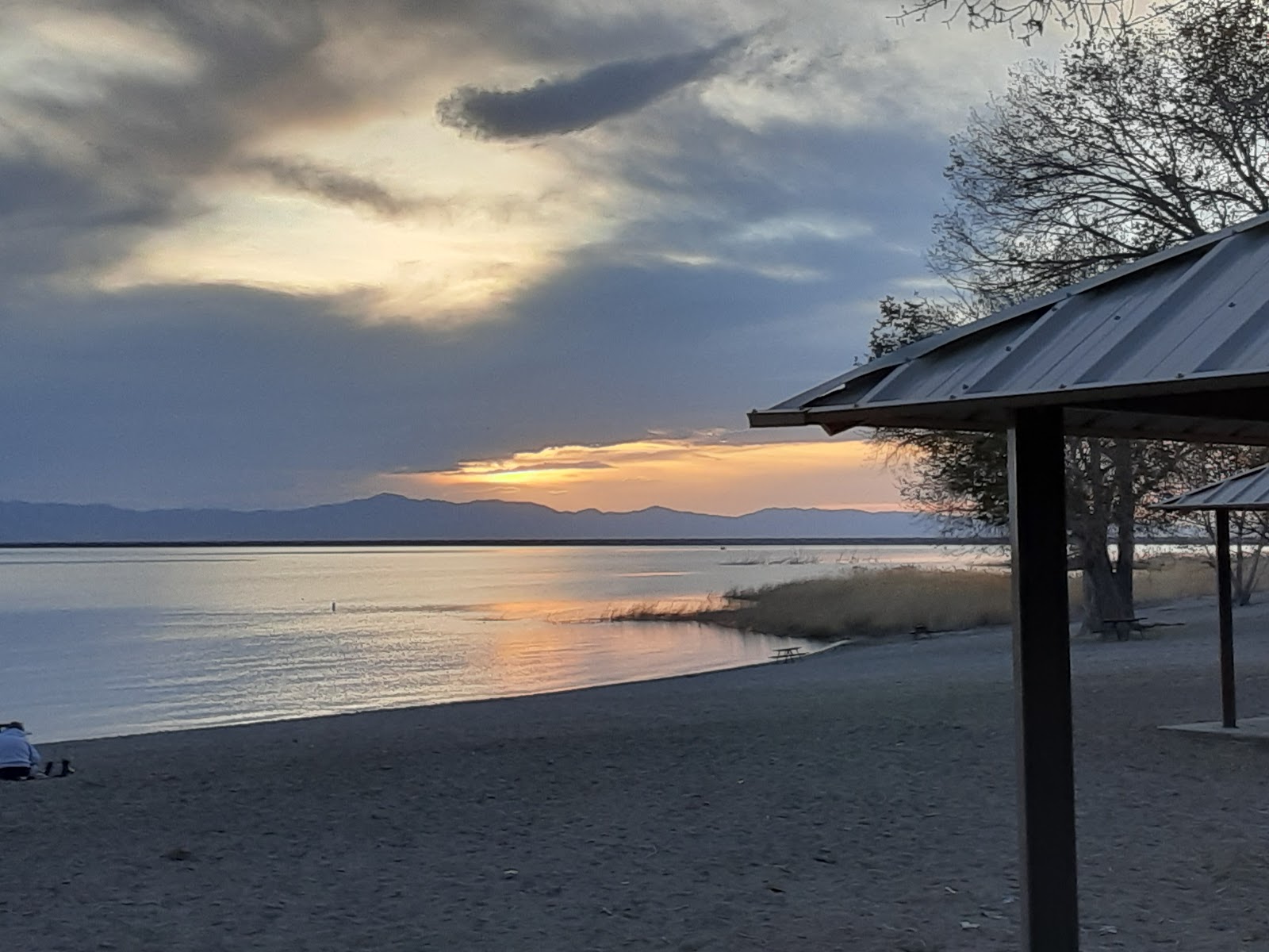 Cottonwood - Willard Bay State Park