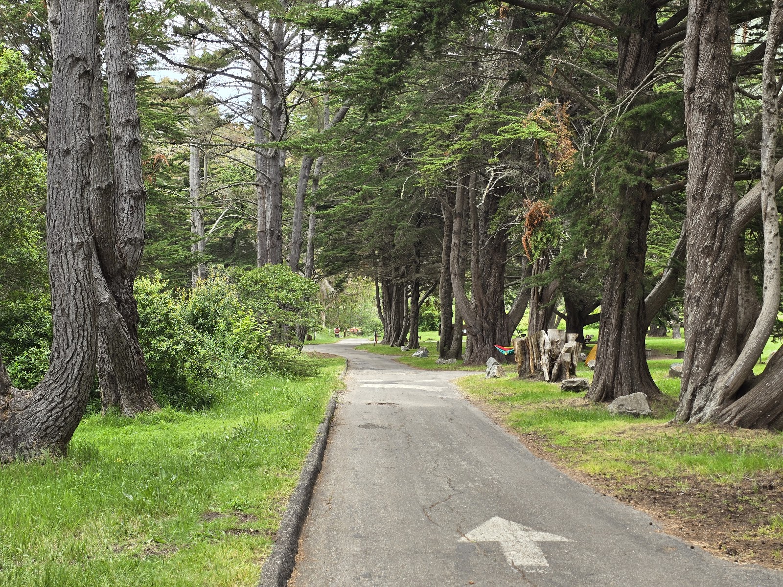 Plaskett Creek Campground