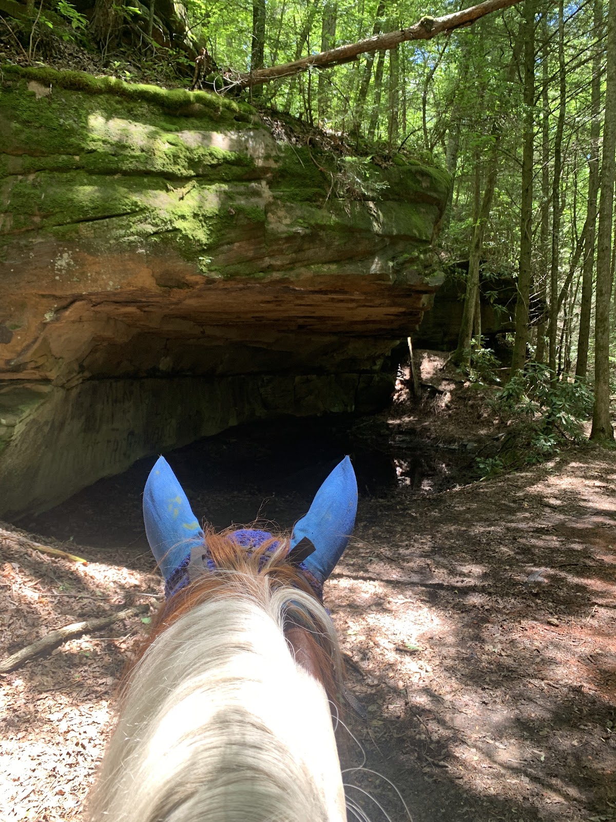 Stampede Run Horse Camp