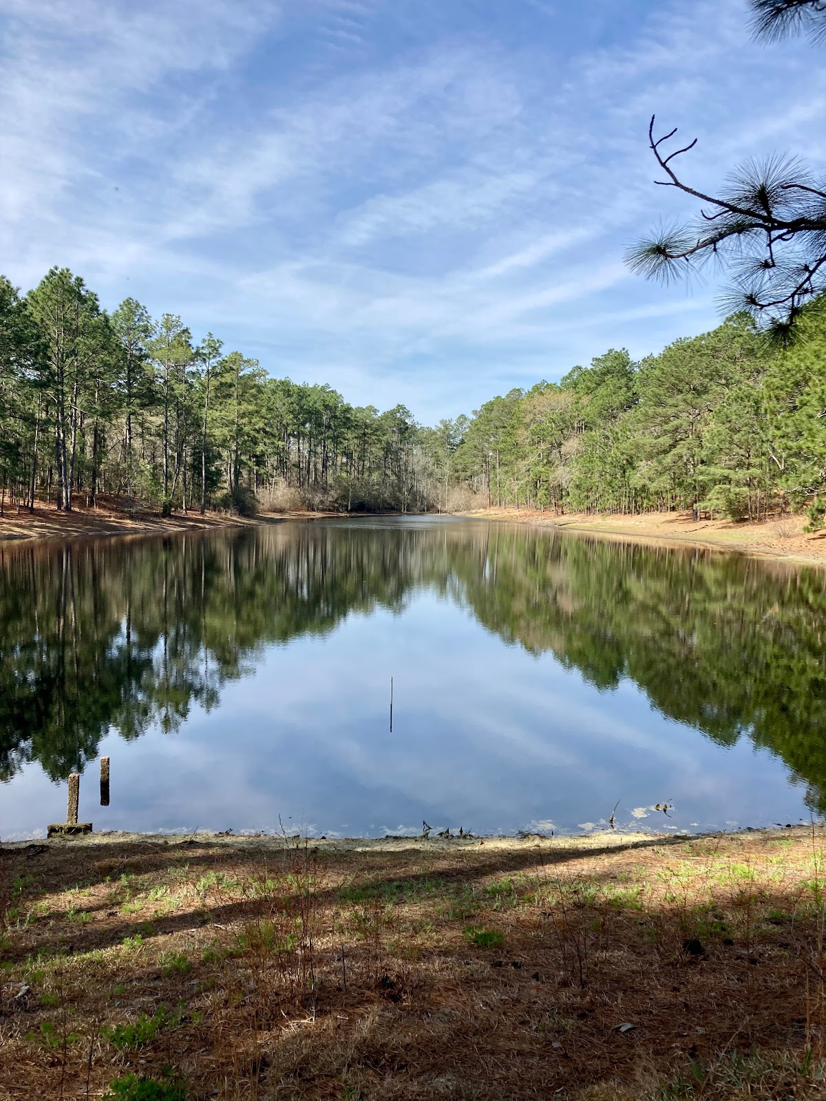 Spacious Skies Sandy Run