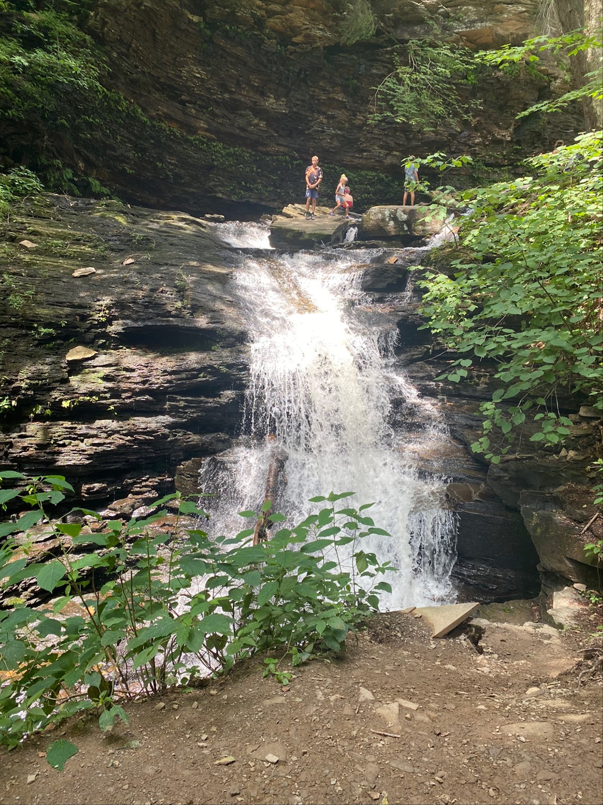Ricketts Glen State Park