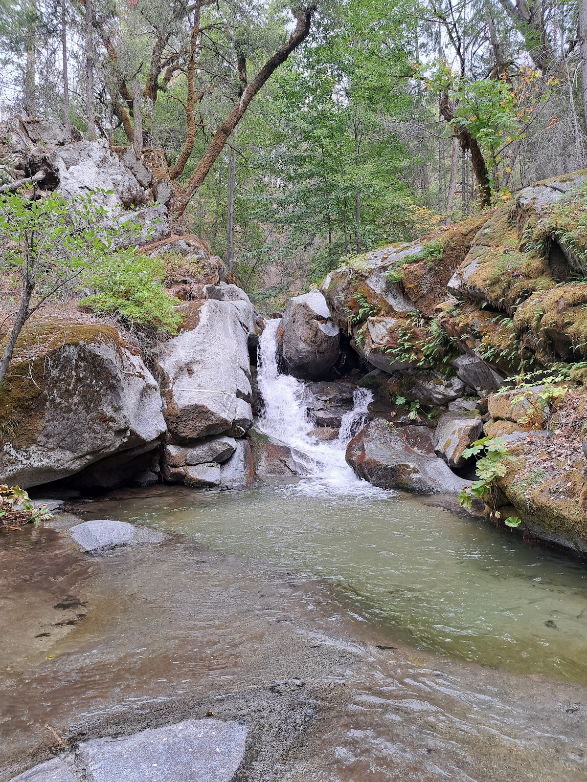 Crystal Creek Primitive Campground