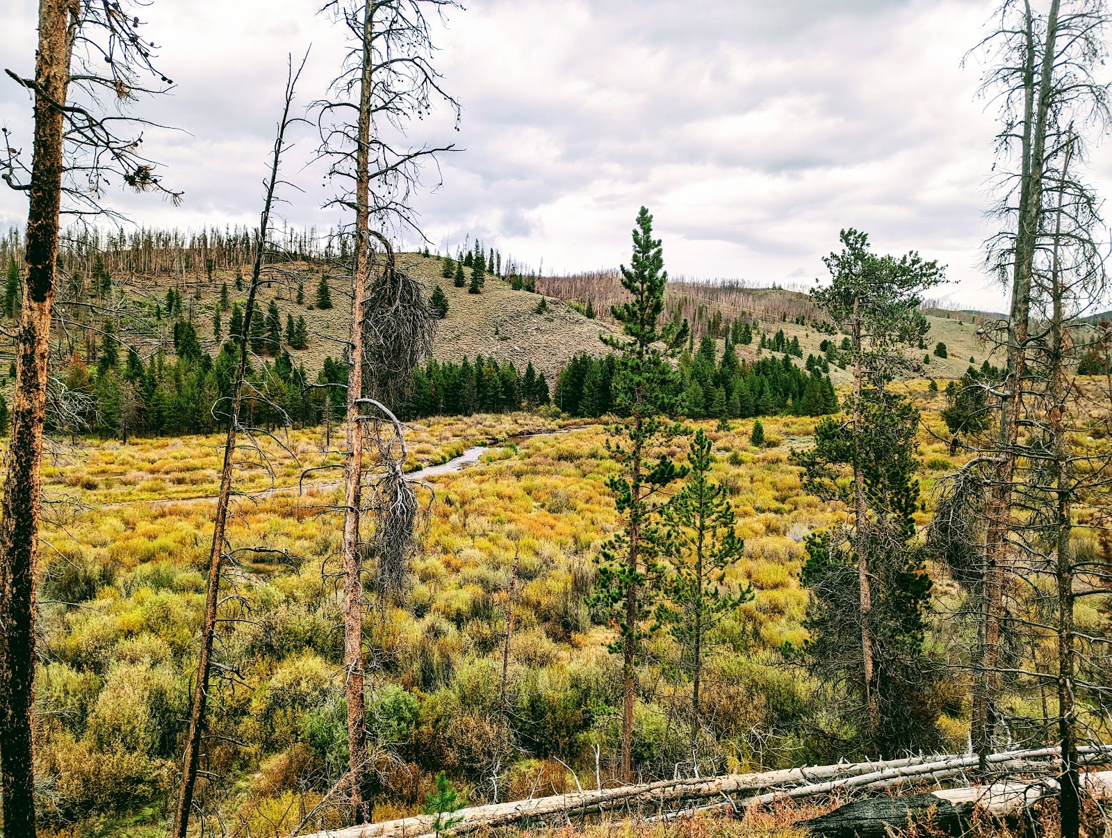 Pelton Creek Campground