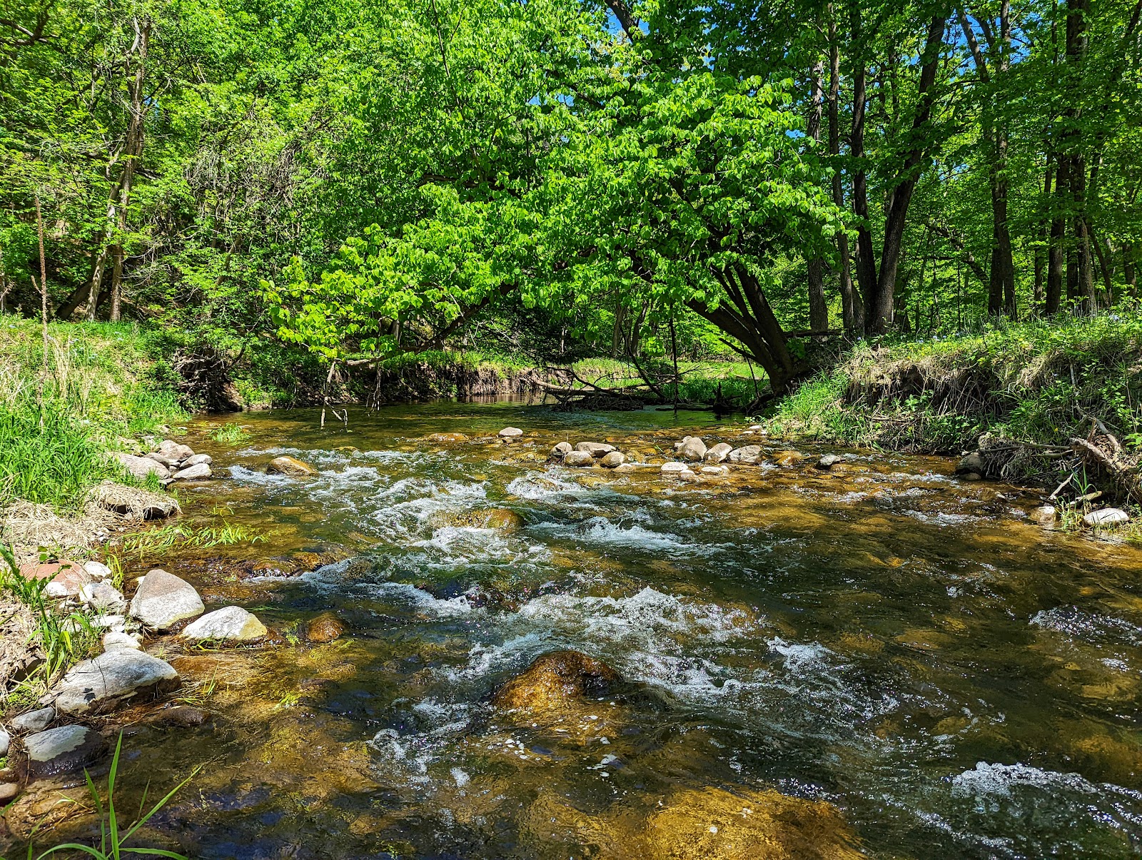 Dolliver Memorial State Park