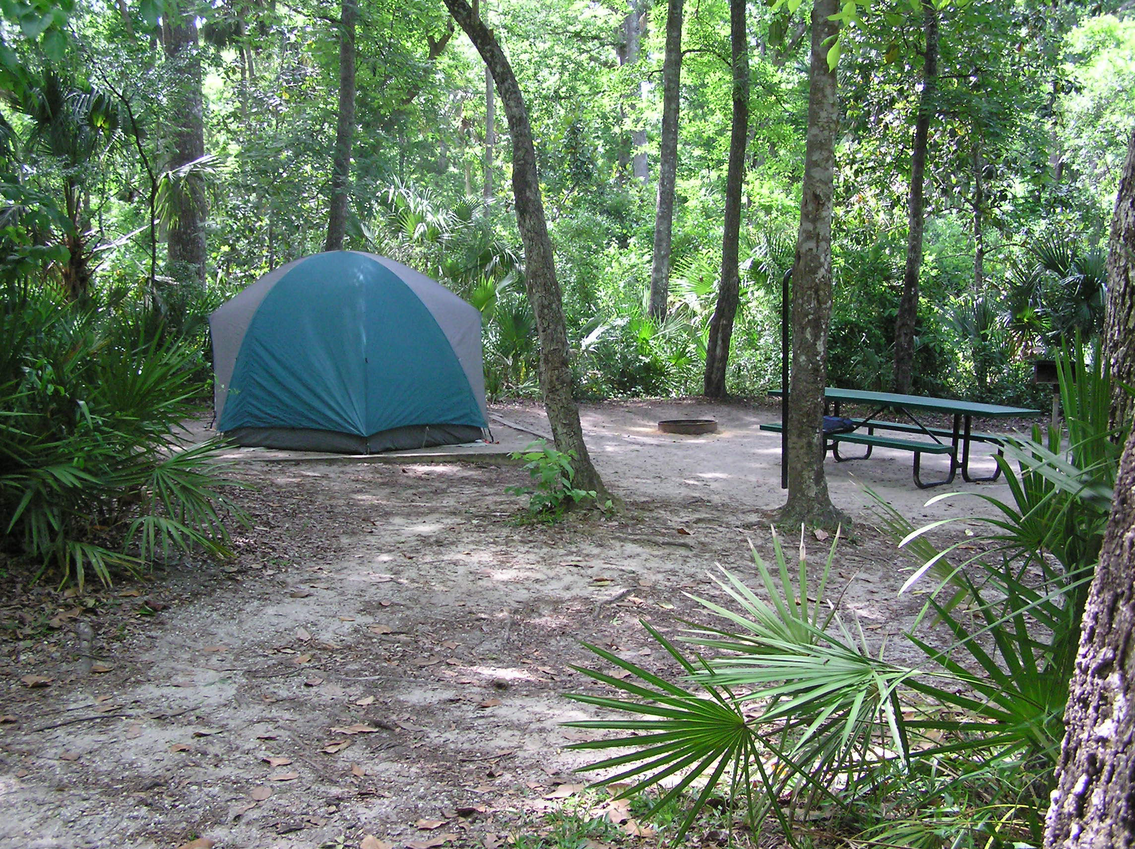 Ocala/Silver Springs KOA