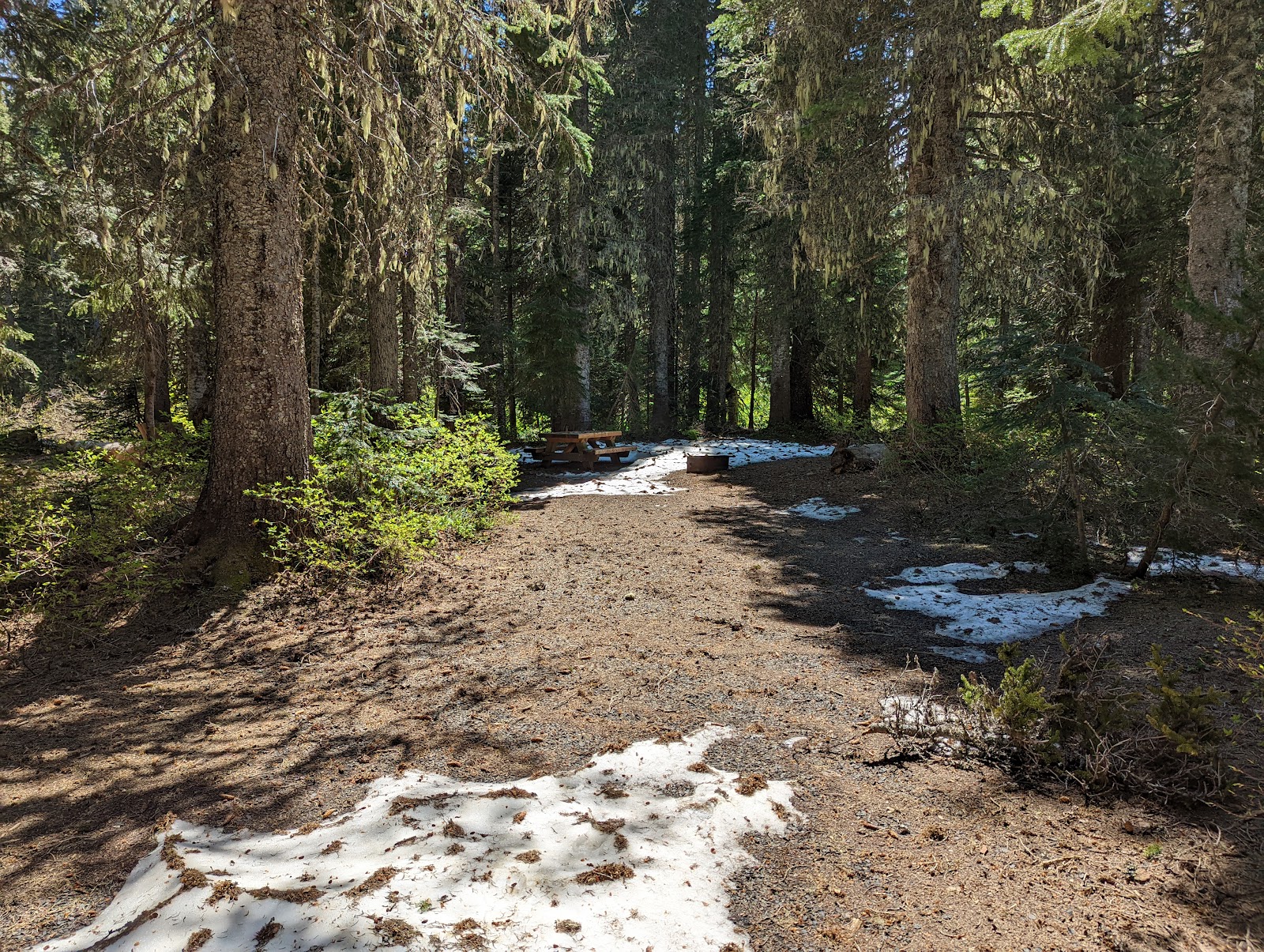 Cultus Creek Campground