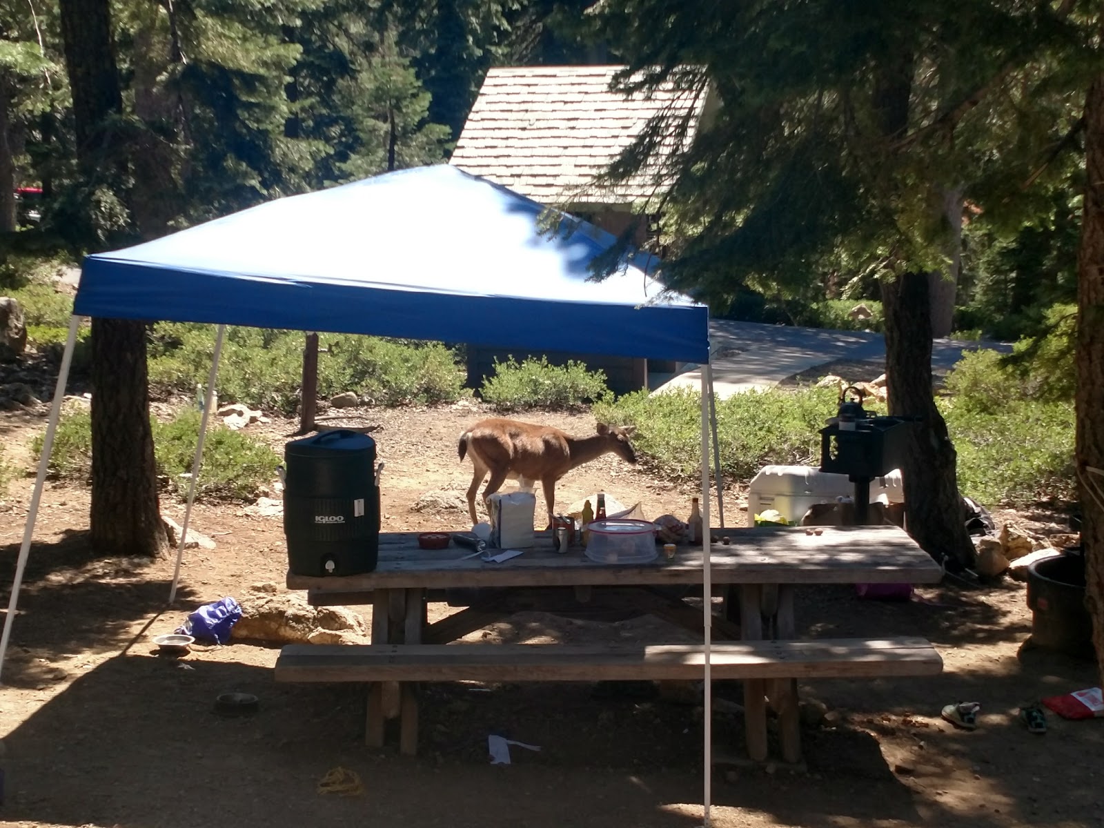 Kangaroo Lake Campground