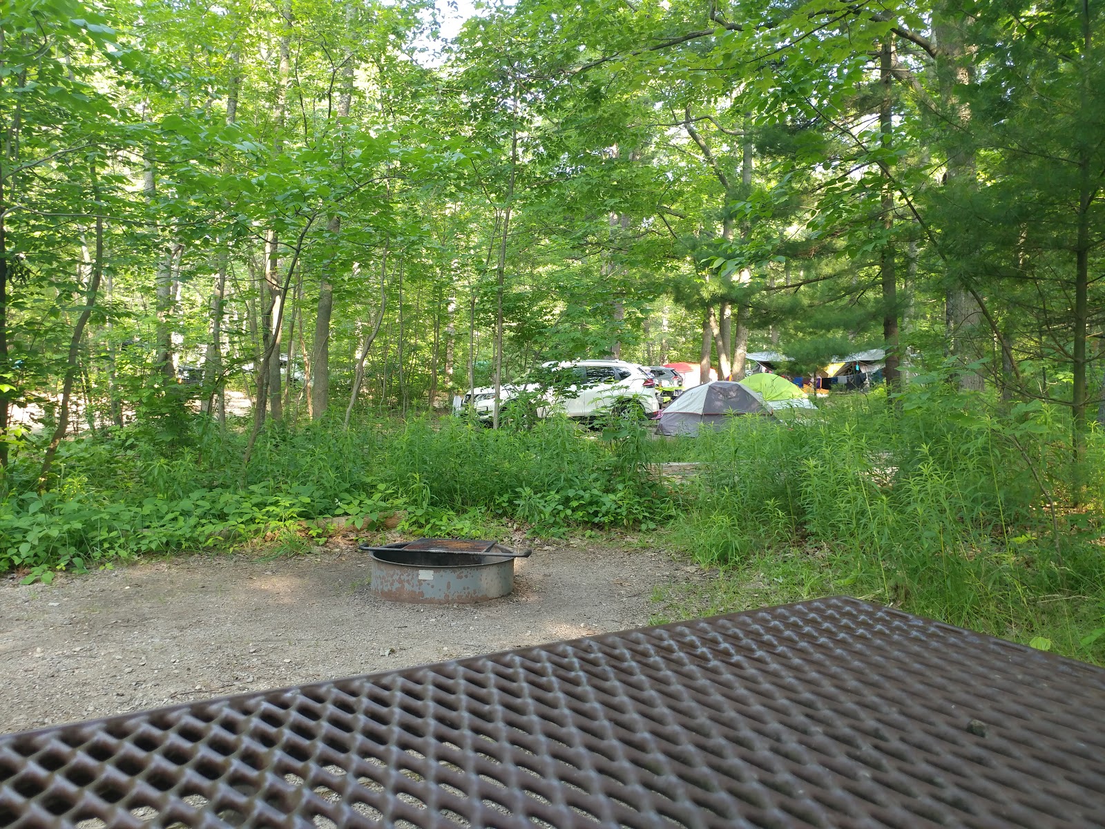 DH Day Campground - Sleeping Bear Dunes National Lakeshore