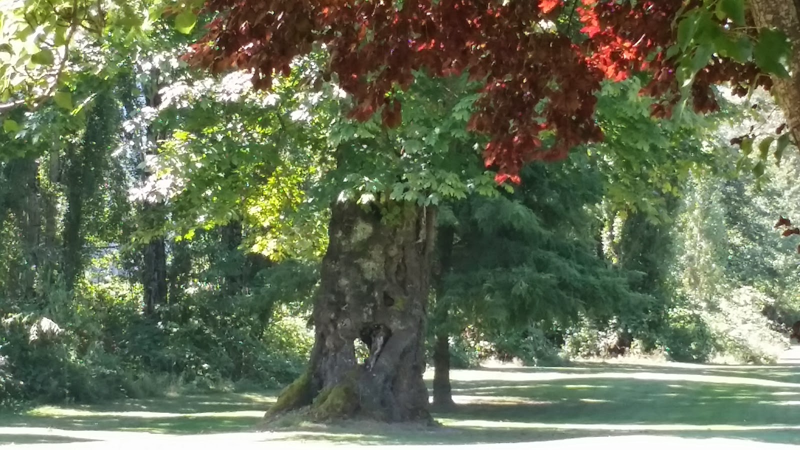 Snoqualmie River Campground