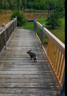 Carolina Adventure World