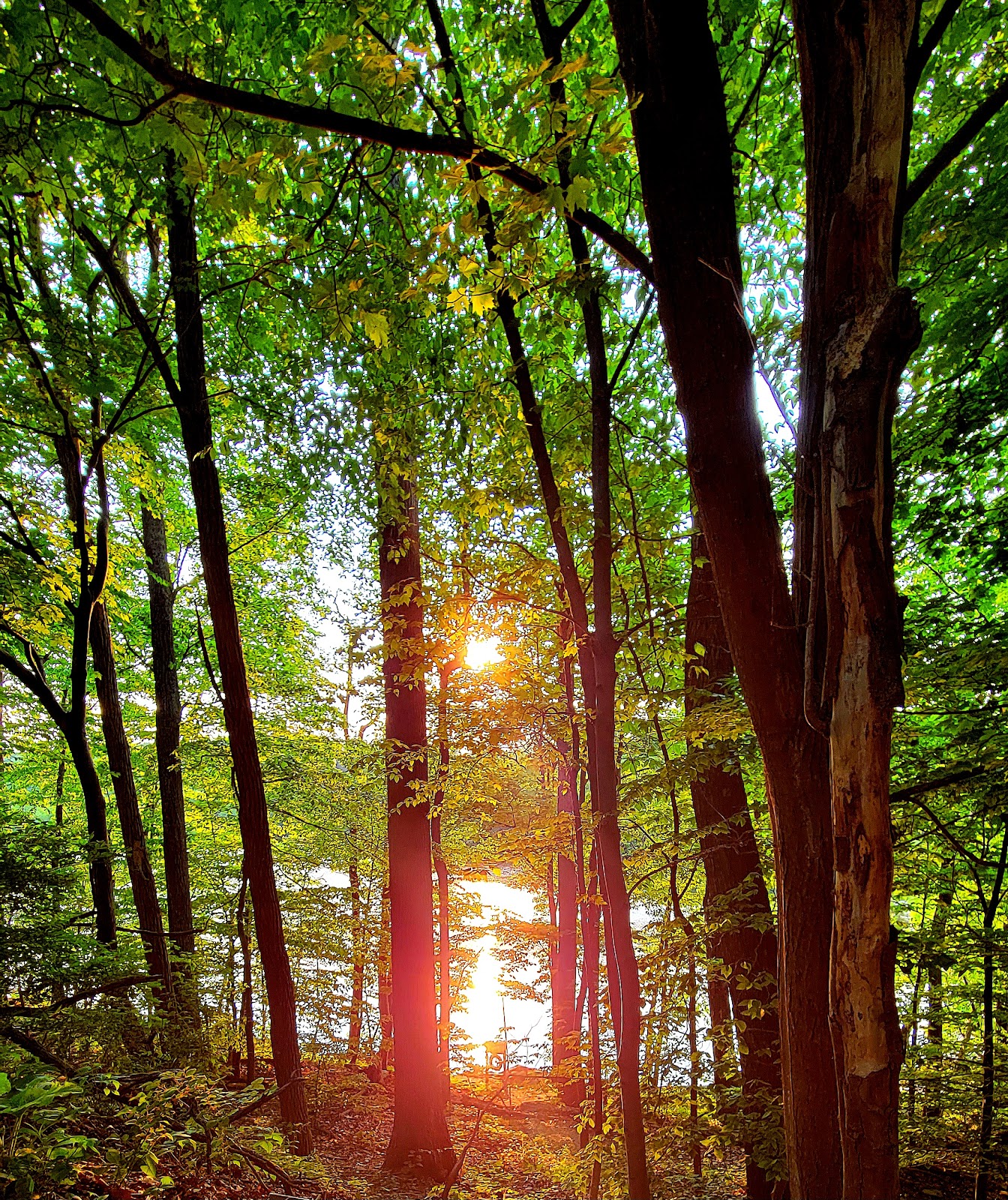 Houck - Cunningham Falls State Park
