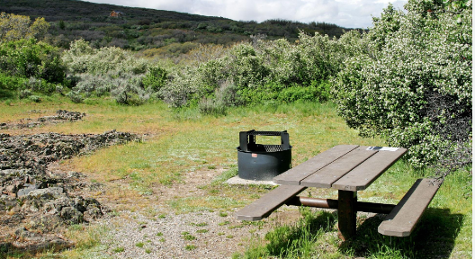 Black Canyon Of The Gunnison South Rim Campground
