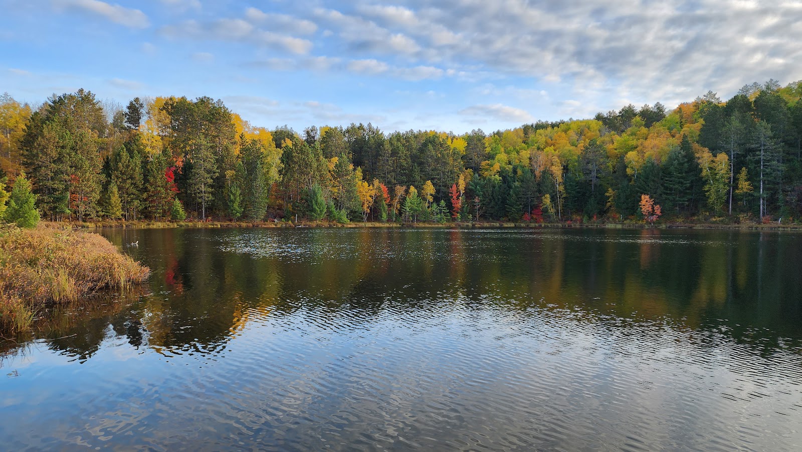 McCarthy Beach State Park