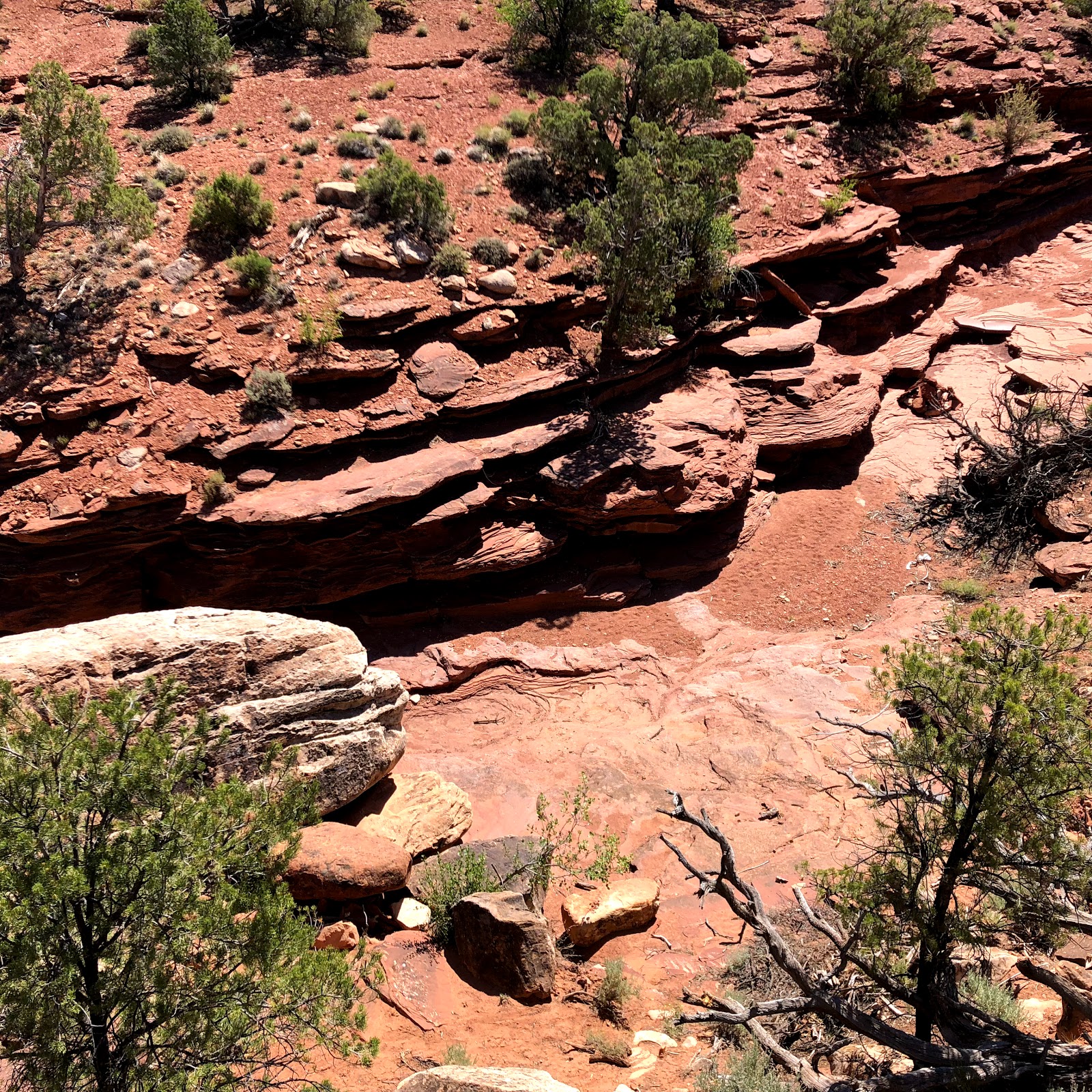 Hal Canyon Campground