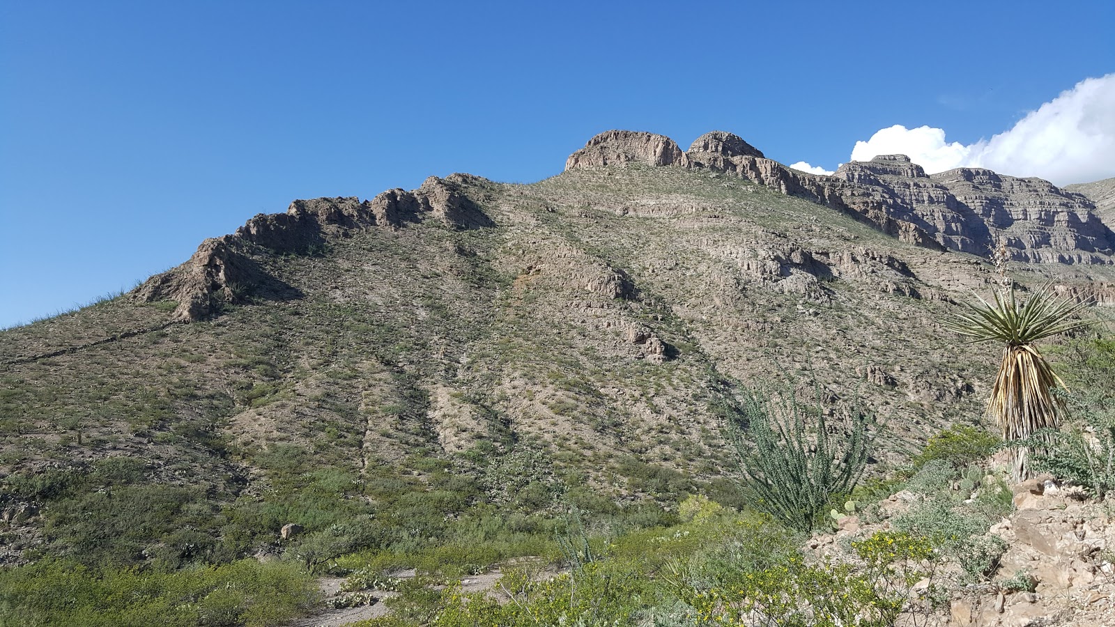 Oliver Lee Memorial State Park